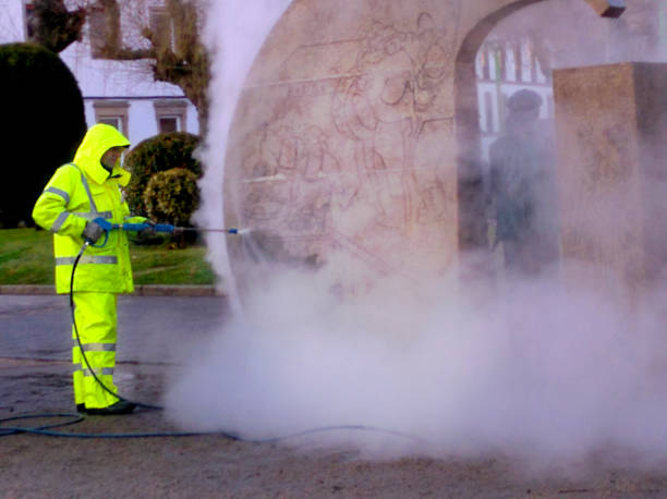 Best Local Pressure Washing Services  in Tremont, IL